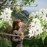 Children's Sailor Sweater - Cedar